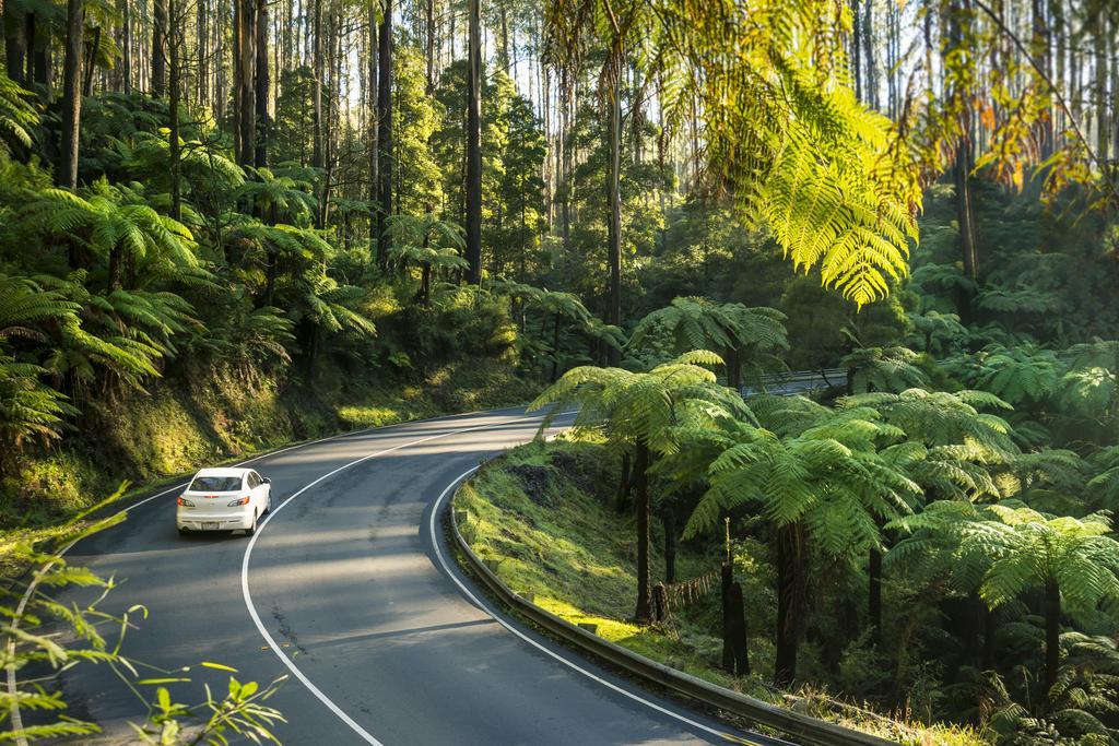 Lithgow Falls Marysville Exteriér fotografie